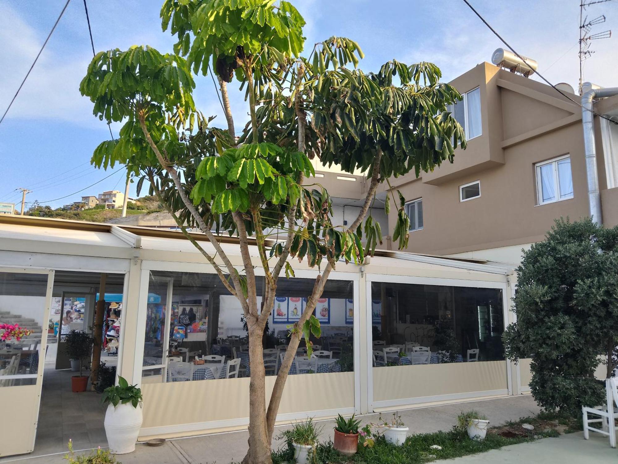 Anatoli Lygaria Apartments On The Beach Λυγαριά Εξωτερικό φωτογραφία